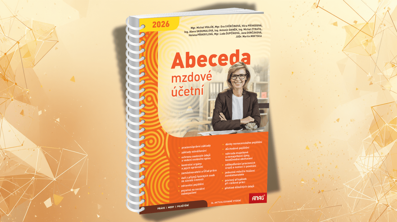 Mzdové účetnictví – profese, v níž se za každou chybu skutečně platí