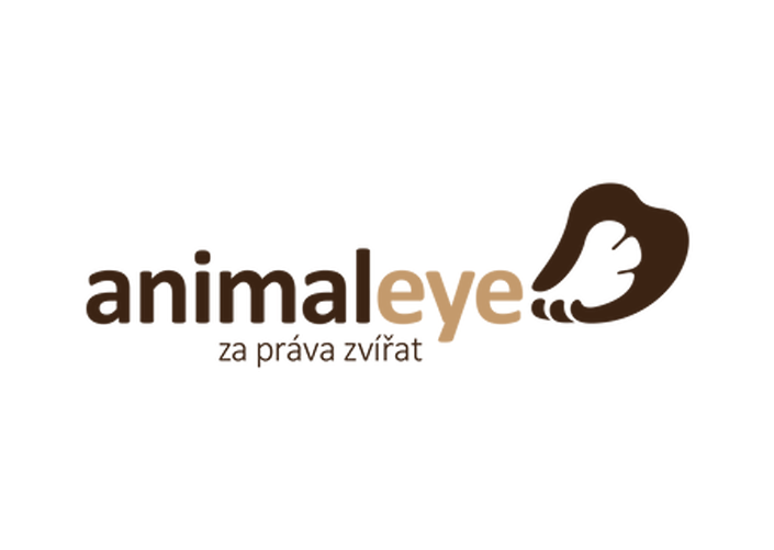 Animal Eye