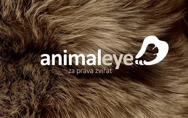 Kulatý stůl na téma "Legislativní změny v oblasti zájmových chovů psů"