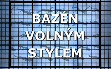 Bazén volným stylem
