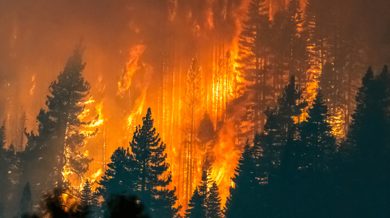 Bývalý dobrovolný strážce nenese vinu za požár v Č.Švýcarsku, rozhodl znovu soud
