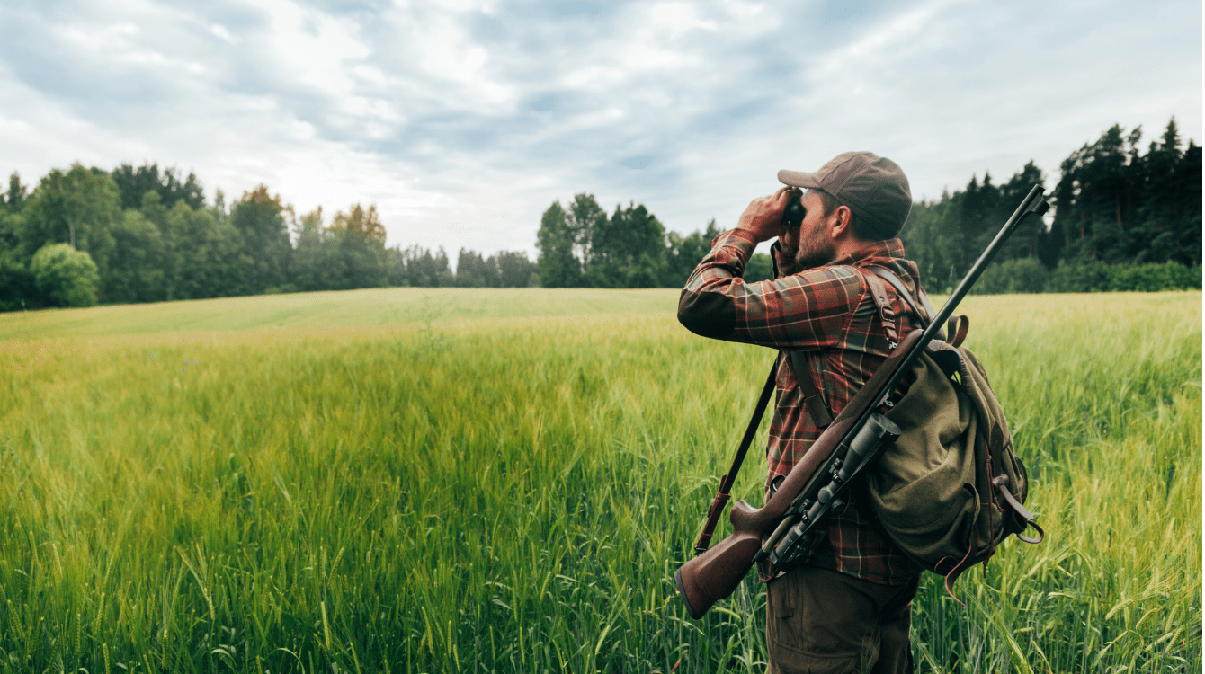 Nařízení vlády o podmínkách poskytování finančních příspěvků na hospodaření v lesích a vybrané myslivecké činnosti