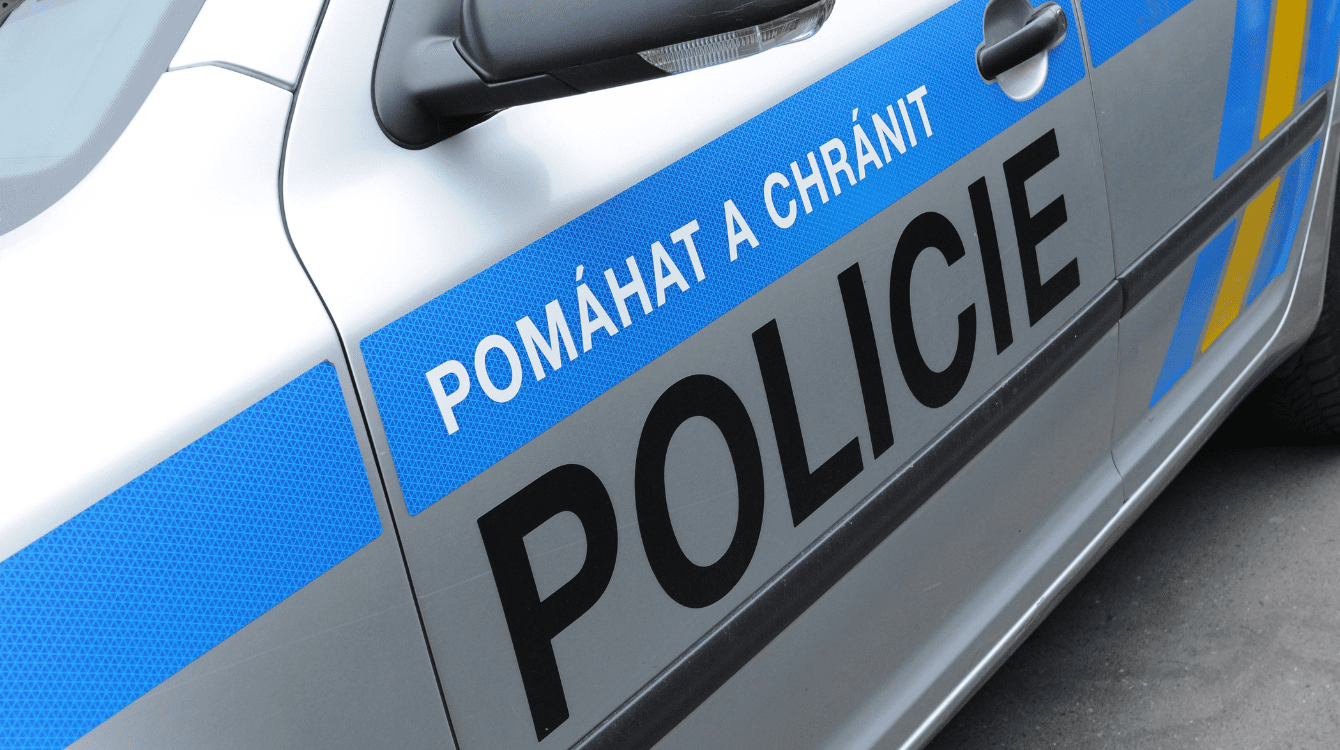 Zlehčování domácího násilí