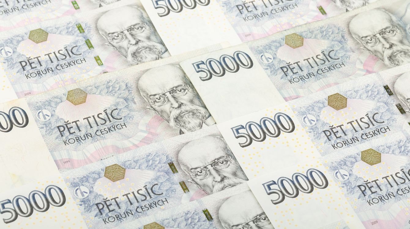 Dotace na ochranu duševního vlastnictví 2024