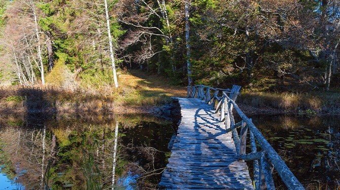 K předpokladům povolení nezbytné cesty