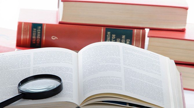 Zásahová žaloba v České republice a ve vybraných státech Evropy - část II.