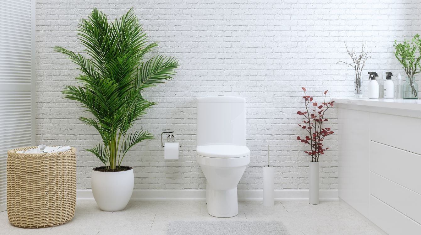 Výběr nejbizarnějších soudních rozhodnutí z celého světa – epizoda III.