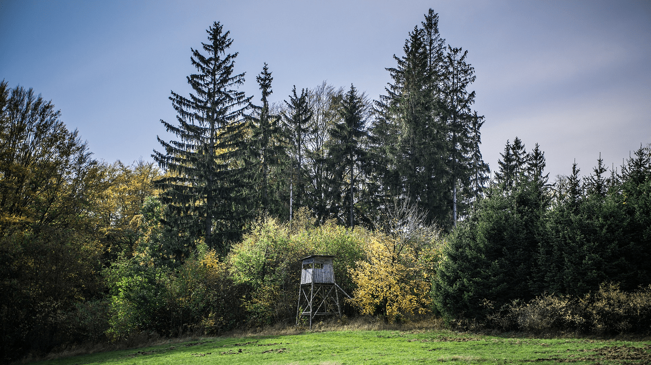 Novela nařízení o stanovení podmínek provádění opatření pro zalesňování zemědělské půdy