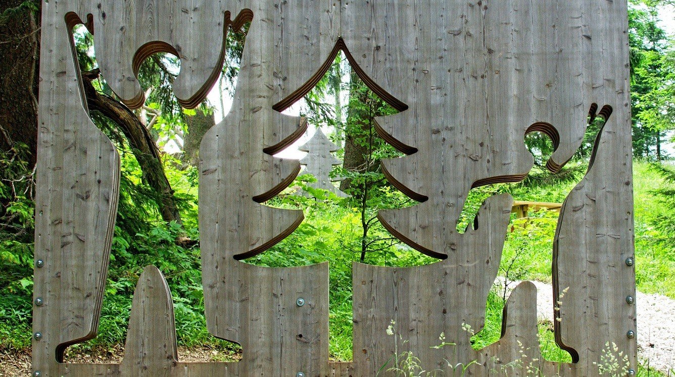 NSS potvrdil městu na Šumavě pokutu za hluk, který rušil chráněné ptactvo