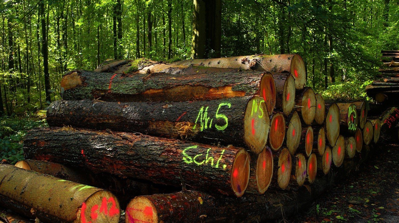 Novela zákona o uvádění dřeva a dřevařských výrobků na trh