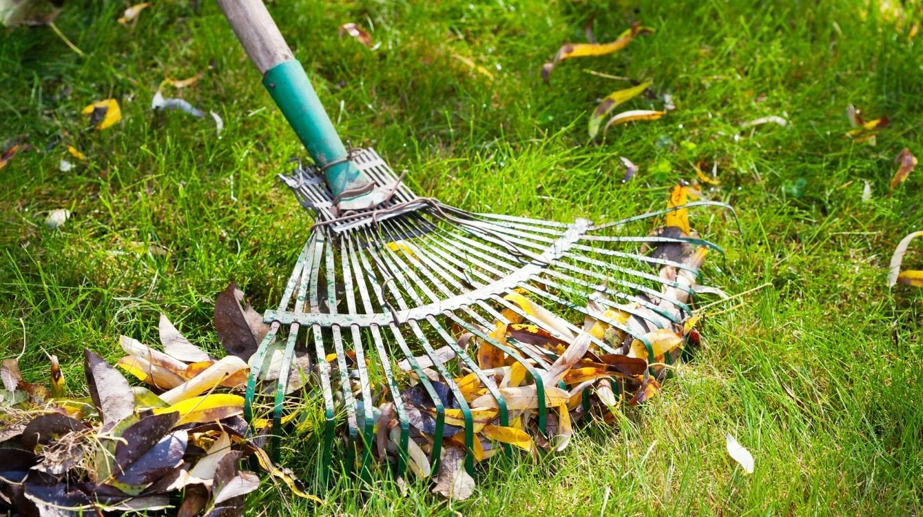 Péče o zahradu není péče o domácnost