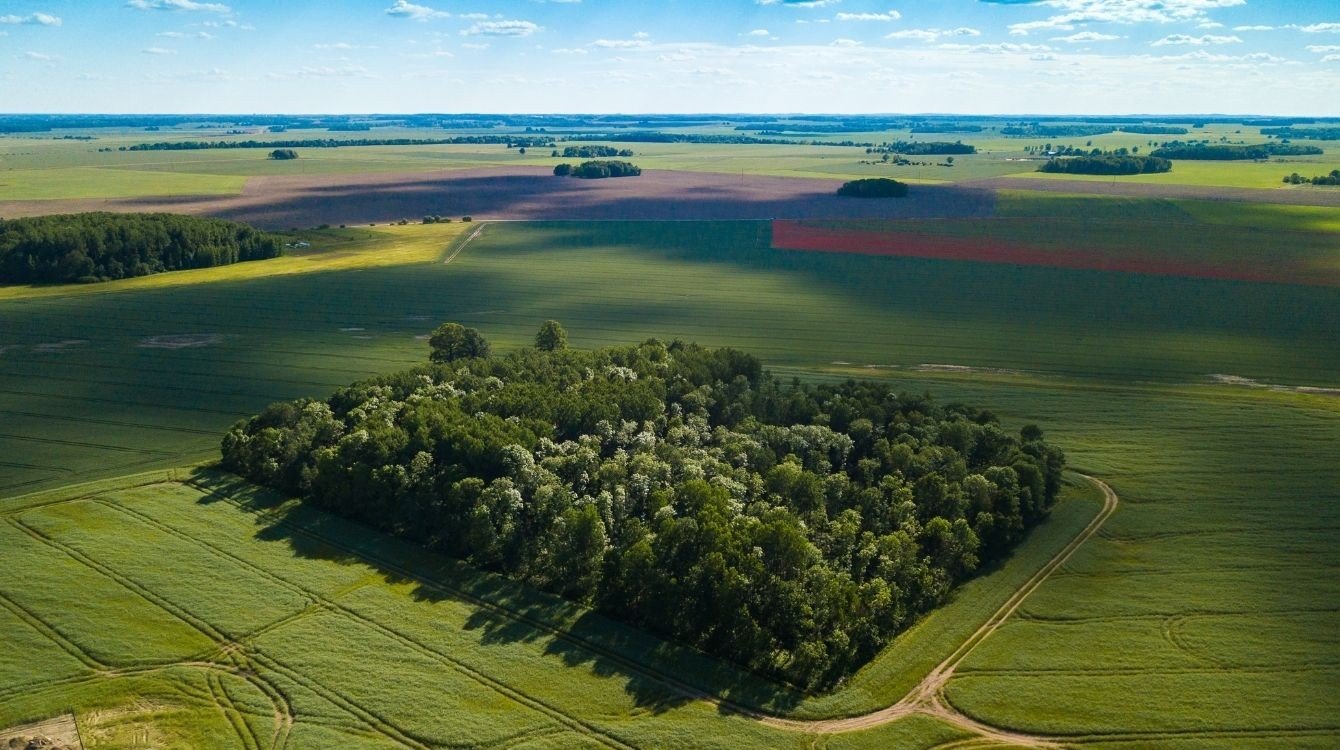 Novela o zjednodušení převodu realit státu na obce a kraje vstoupila v účinnost