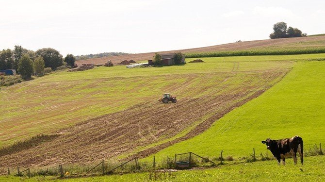 NSS nařídil znovu otevřít spor o dotaci pro firmu z Agrofert, jde o výklad lhůty