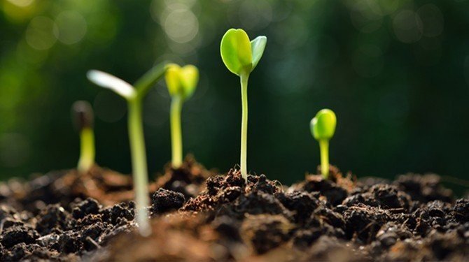 CSRD, NFRD a CSSD – čím se zabývají směrnice EU o udržitelnosti?