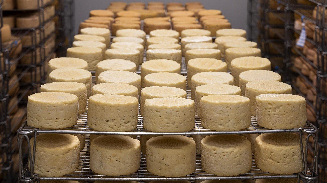 Garance výše ceny při prodeji zemědělských a potravinářských produktů