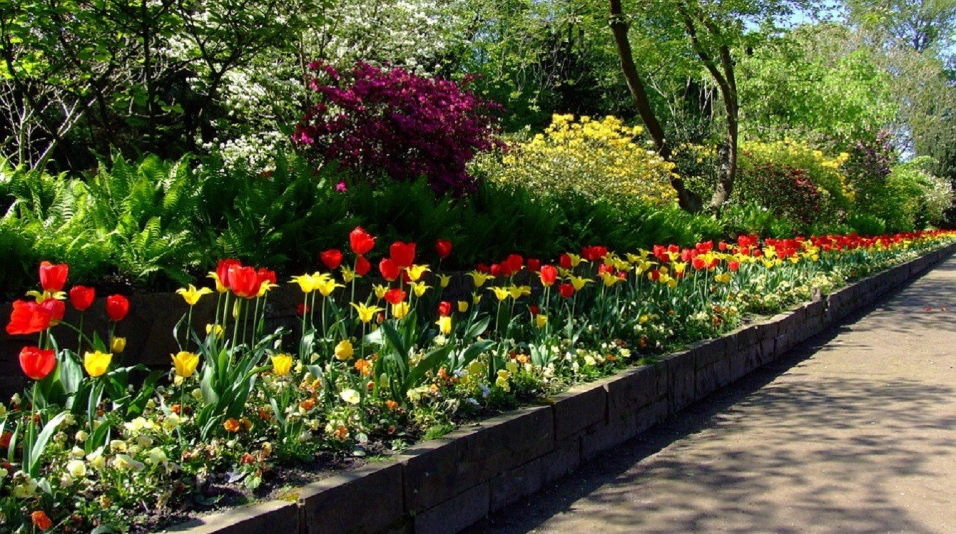 Spor o využívání střechy garáží za Lužánkami Brno vyhrálo, další spor trvá