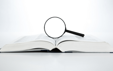 Kritické poznámky k současnému třídění forem státu a vlády - část II.