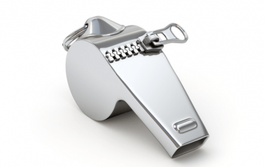 Sportovní pravidla a jejich vliv na rozhodování soudů