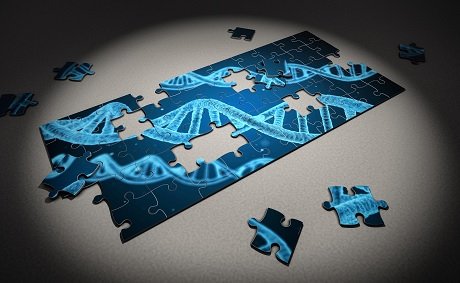 Patentovatelnost dědičných genetických modifikací člověka ve světle vědeckého pokroku