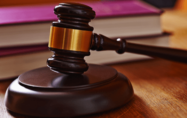 Ústavní soud k rozsahu indemnity