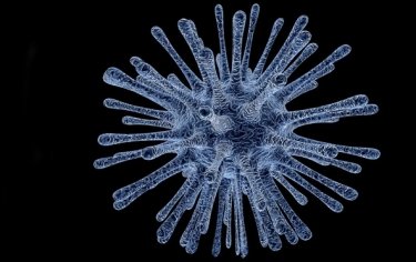 Krizová opatření a náhrada škody – opatrný výklad