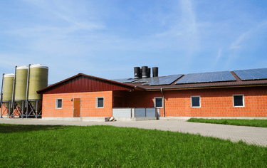 Zemědělská družstva neoprávněně odkládají vyplácení vypořádacích podílů