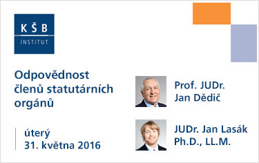Odpovědnost členů statutárních orgánů