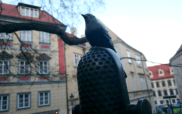 Pomník dr. Milady Horákové slavnostně odhalen. Má být symbolem národního uvědomění