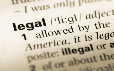 Pozor na falešné přátele!