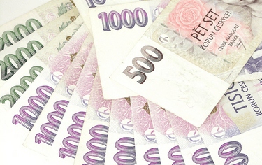 Krátké zamyšlení nad zákonnou výší penále za prodlení s odvodem za porušení rozpočtové kázně