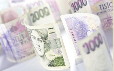 Sankční náhrada škody