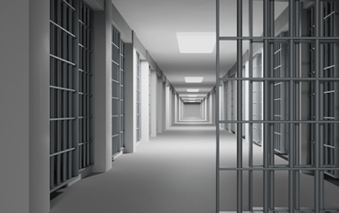 Novela vyhlášky o řádu výkonu trestu odnětí svobody