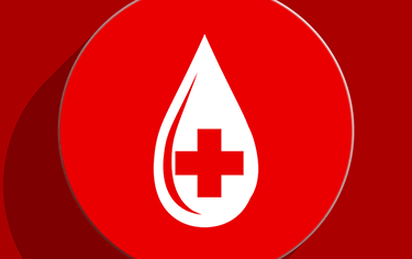 Trnitá cesta k humanitě: Díl II. - „Krev má vždy a všude stejnou barvu“