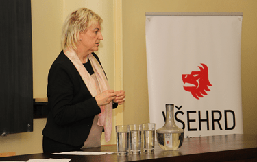 Marie Brejchová: „Posláním podnikového právníka je předcházet problémům“