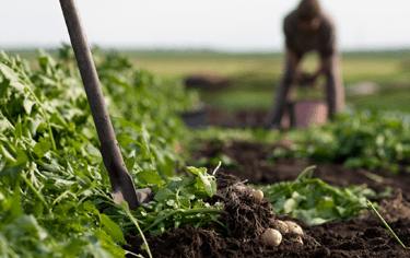 Významná změna v regulaci tržní síly?