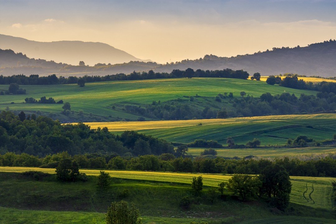 Právní nástroje ochrany biodiverzity v zemědělsky obhospodařované krajině - 2. část